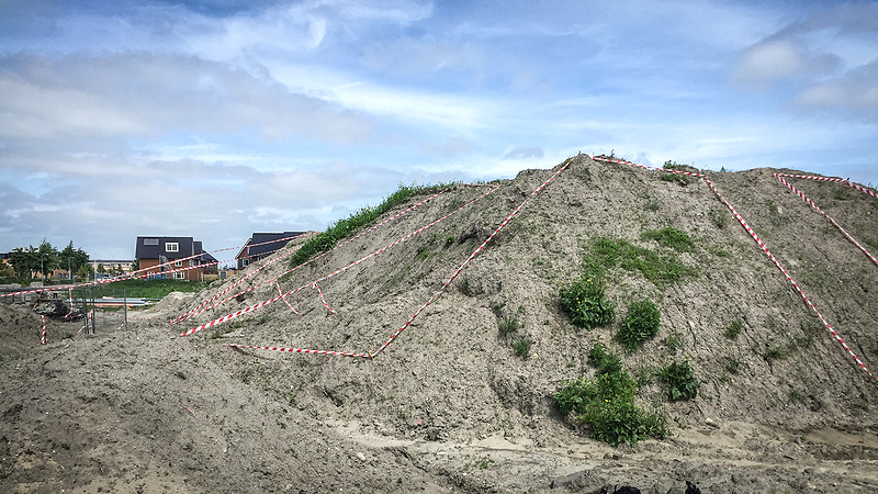 Oeverzwaluw kiest Broekrijk toch weer als nestelplaats