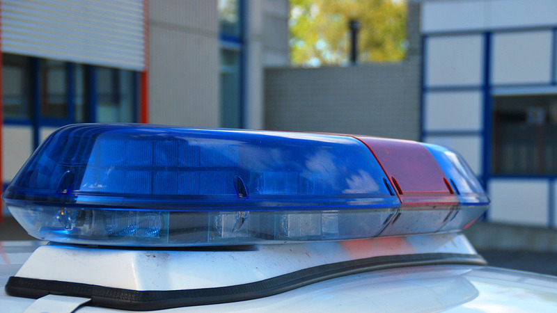 Auto botst op paardenkunstwerk op rotonde Bergerweg, beide beschadigd