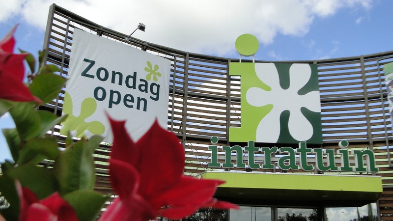 Kinderworkshop 'Pimp een potje' bij Intratuin