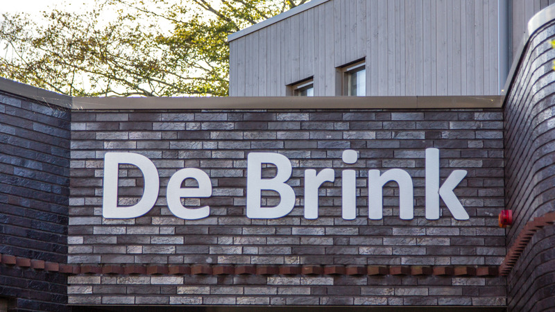 Vrouwenkoor Vigorosa met ‘Kayena’ in De Brink