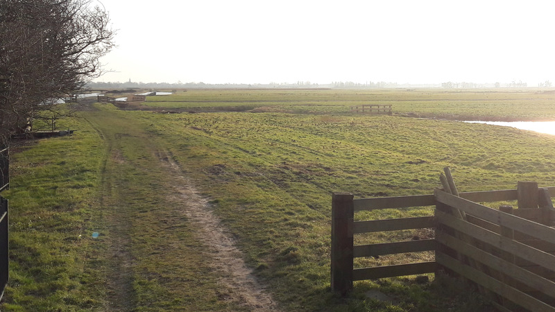 Vanaf 1 maart nieuw hondenlosloopveld in Grootschermer
