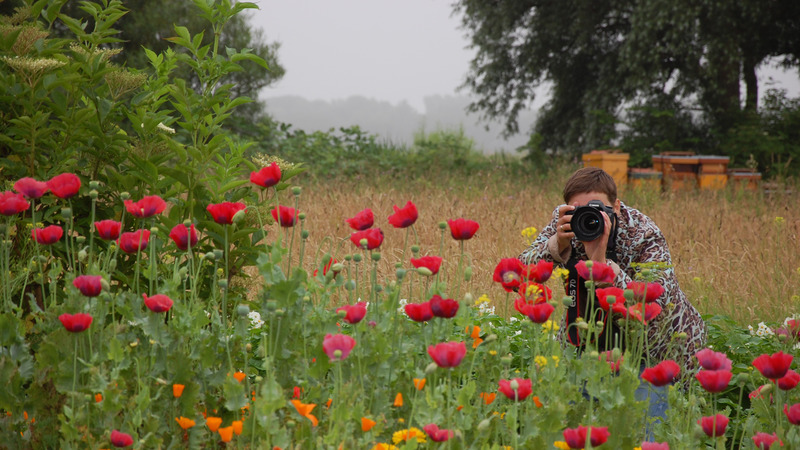 Cursus natuurfotografie bij Hortus Alkmaar