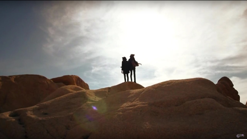 Tangarine met 'From Tucson with songs' naar Cool