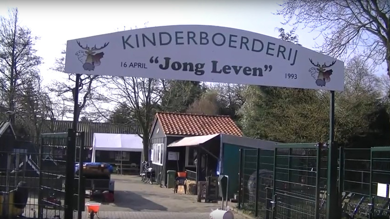Eieren schilderen met Pasen bij Kinderboerderij Jong Leven