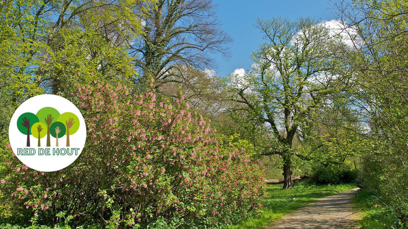 Bedreigde Alkmaarderhout op 7 mei uitgebreid in beeld
