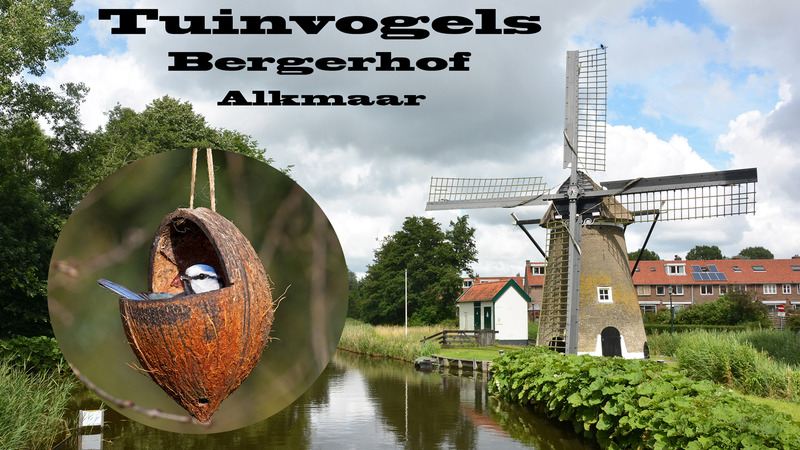 Tweede druk 'Tuinvogels Bergerhof Alkmaar