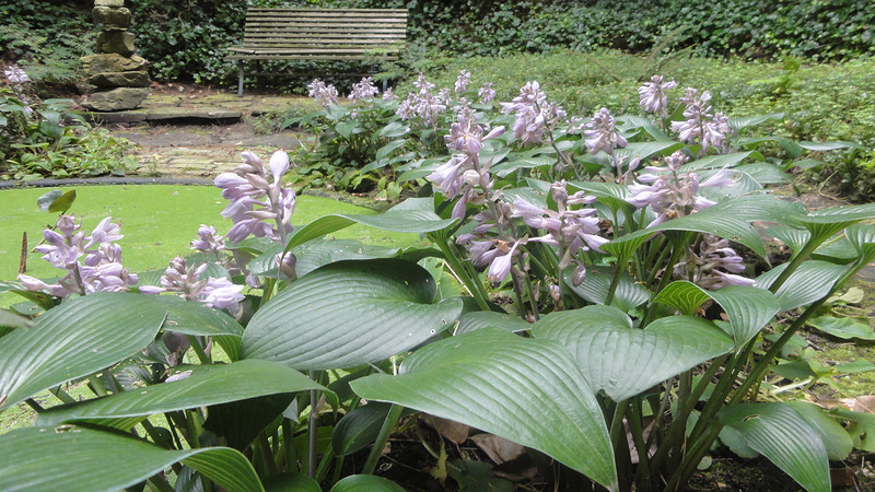Operatie Steenbreek; alle tuinen groen