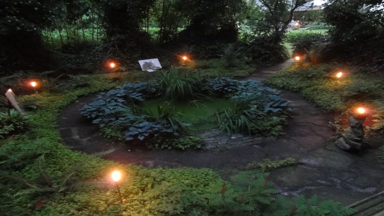 Ervaar al je zintuigen in de ZinTuigeN-tuin op de langste dag ?