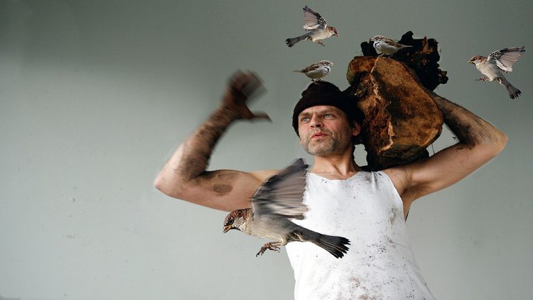 Nog één keer Zomer in De Mare: de grote finale op zondag 25 juni ?