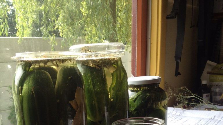 Workshop fermenteren bij Hortus Alkmaar ?