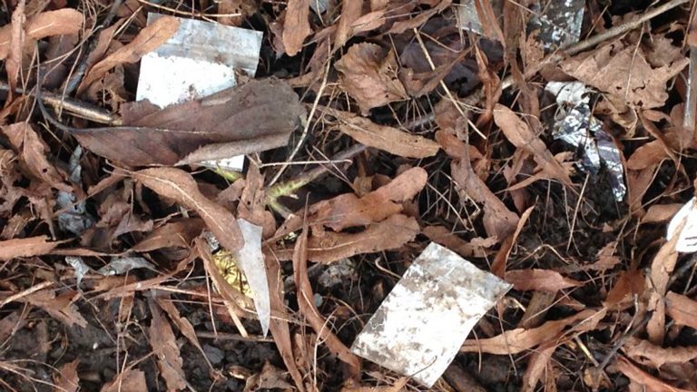 Geen extra controles op resten drugsgebruik, wel meer alertheid