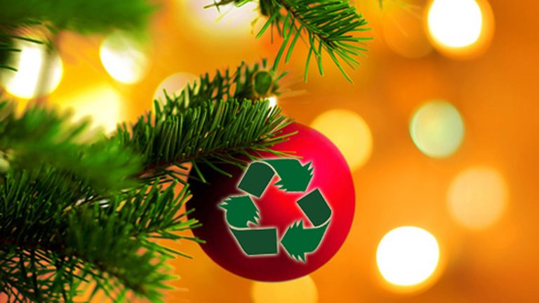 Gemeente Heerhugowaard haalt kerstbomen vanaf 8 januari op