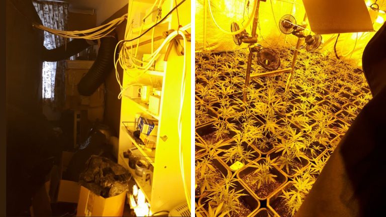 Wietplantage aangetroffen in flat