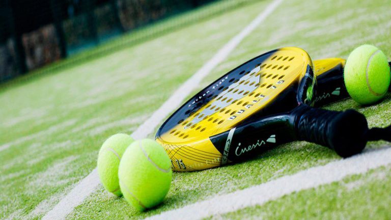 Kennismakingsclinics padel bij TPC Daalmeer ?