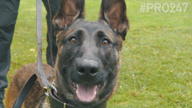 Twee verdachten van bootinbraak na achtervolging aangehouden