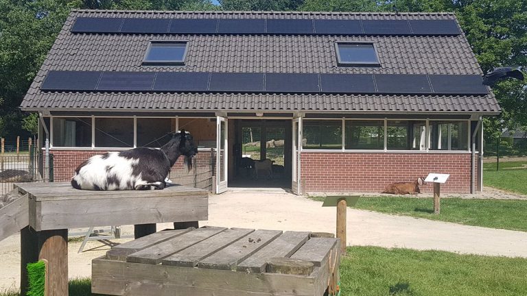 Feestelijke heropening Kinderboerderij De Bongelaar op 9 juni