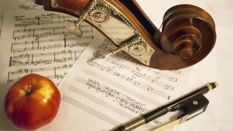 Bijzonder vioolconcert in Terpkerkje Oudorp ?