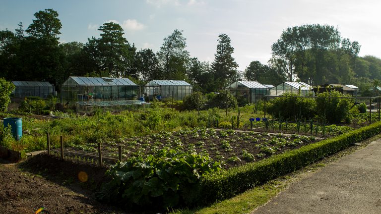 Open Dagen VTV ‘De Groene Waard’ op tuinderscomplex De Vork ?