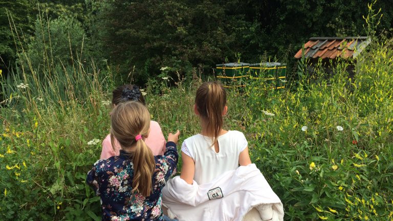 Beestjesdag bij Hortus Alkmaar ?