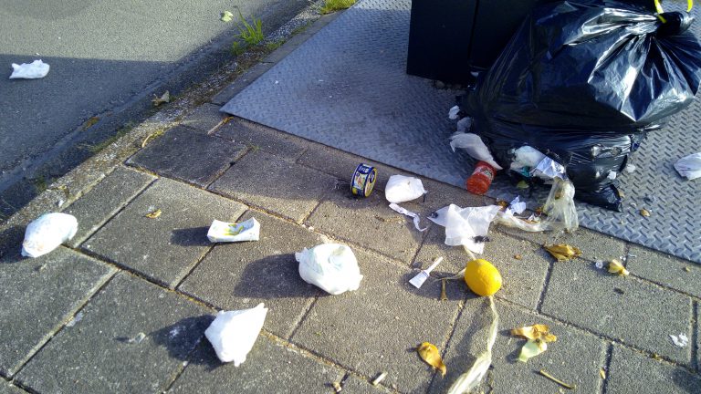 Gemeente Langedijk biedt steun aan initiatieven tegen zwerfafval