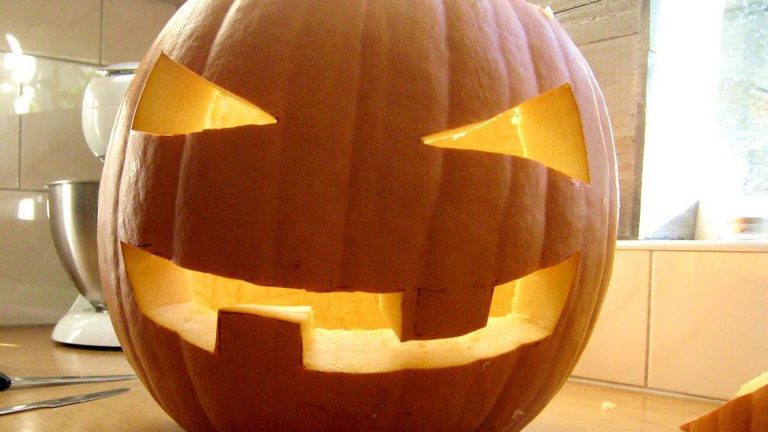 Kinderworkshops in de herfstvakantie bij Hortus Alkmaar ?