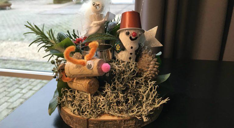 Kinderworkshop knutselen voor Kerstmis bij Hortus Alkmaar ?