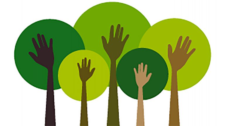 Actiegroep bereid Alkmaar voor Europese Commissie te slepen; “alles om de Hout te redden”