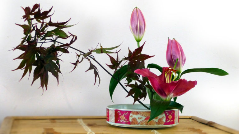 Workshop Ikebana bij Hortus Alkmaar ?