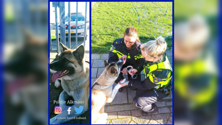 ‘Commissaris’ Rex houdt Alkmaarse politie flink bezig