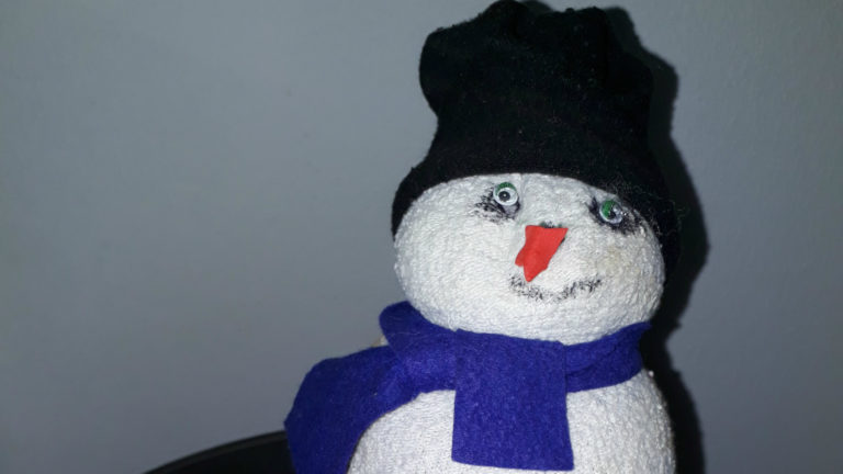 Kinderworkshop sneeuwpop maken bij Hortus Alkmaar ?