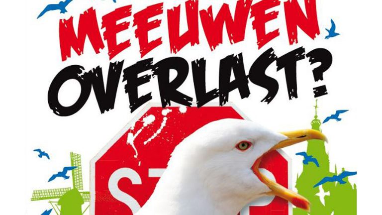 Alkmaar steeds onaantrekkelijker voor meeuwen