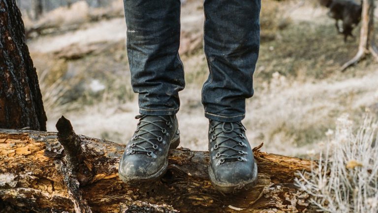 Wekelijks Gezond Natuur Wandelen in het HAL-gebied
