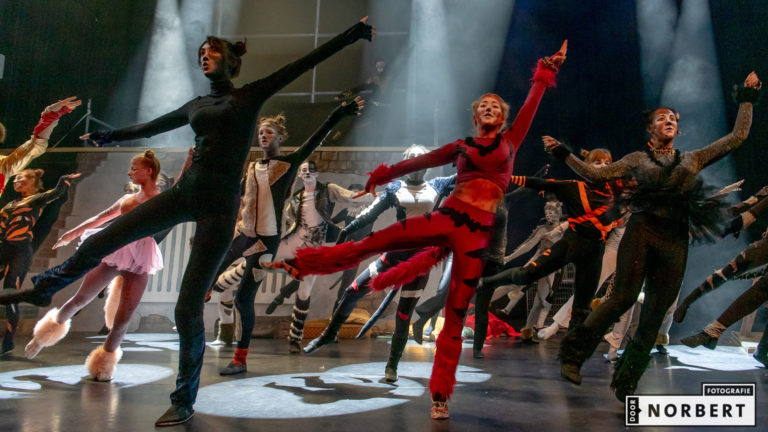 Zevendelige workshop jeugdmusical bij Oberon