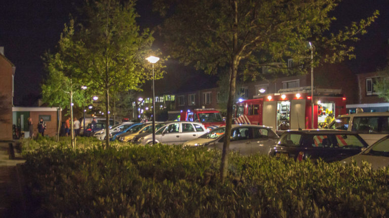 Waards tuinhuisje valt aan vlammen ten prooi