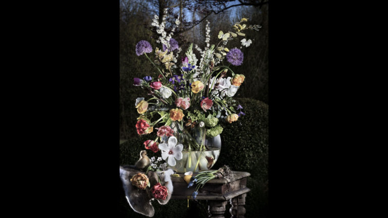 Expositie ‘Still Alive’ van Kaj ter Borgh in Kunstuitleen Alkmaar ?