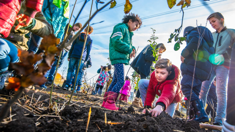 Alkmaar krijgt dit jaar drie minibossen