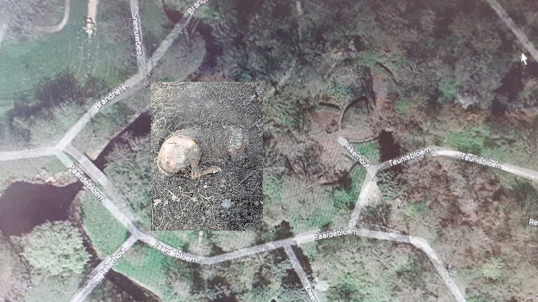 Eigenaar van dode hond in Rekerhout achterhaald