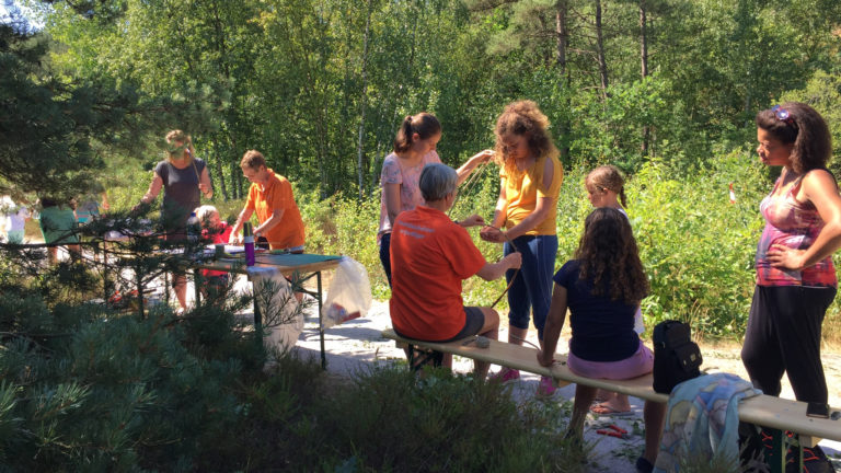 Leer alles over insecten in Schoorlse Duinen ?