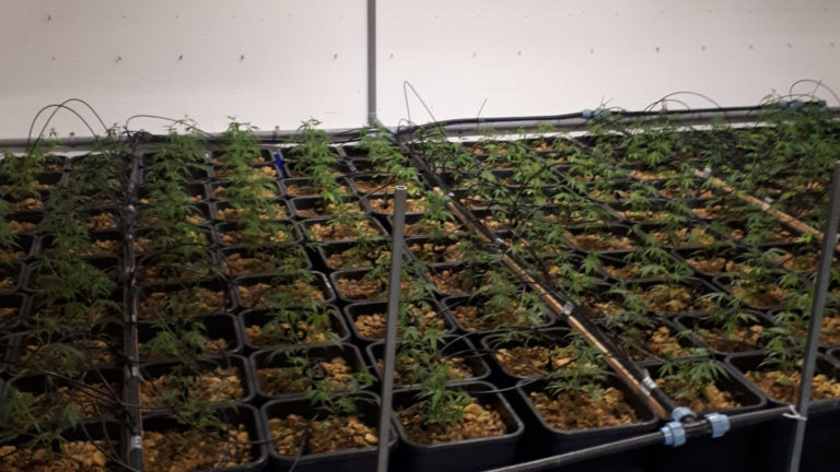 Twee aanhoudingen bij vondst hennepkwekerij in Stompetoren