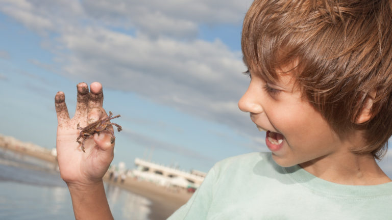 Zomervakantie is begonnen: alle kinderuitstapjes in de natuur op een rijtje