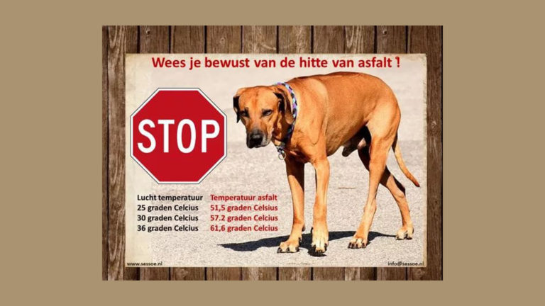 Politie: mijdt met honden de warmste uren, heet asfalt en geef genoeg water