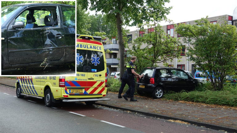 Auto knalt tegen boom en eindigt in bosjes langs Laan van Parijs