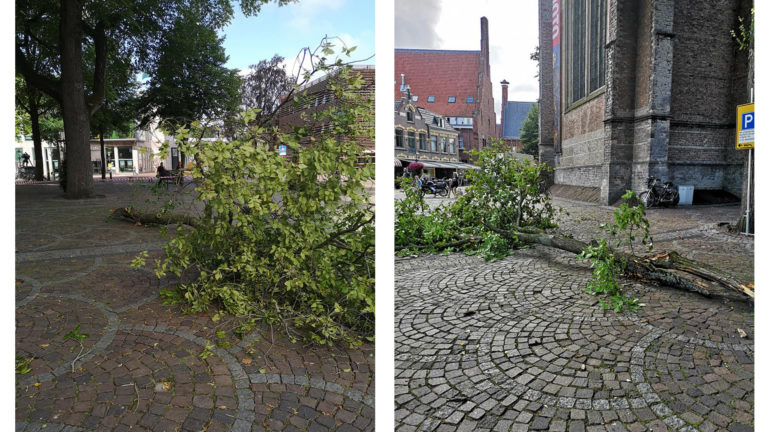 Dat liep gelukkig goed af: grote tak stort neer op Kerkplein