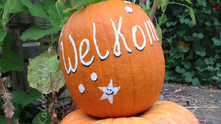 Sfeer- en inspiratiedagen bij de Kalebassenkas in Heerhugowaard ?