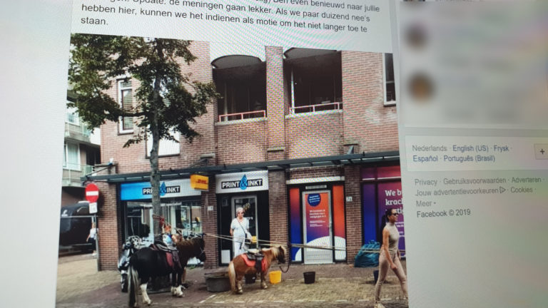 Vermeend leed voor ‘zielige paardjes’ op kermis valt erg mee