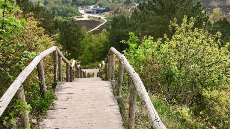 Natuur heilzaam voor zintuigen: natuurbelevingsconcert met stiltewandeling in Schoorlse Duinen ?