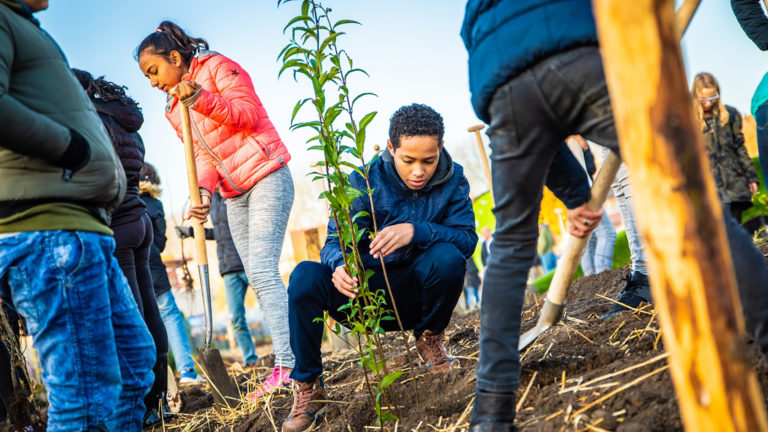 Alkmaar krijgt drie ‘Tiny forests’; “Wij willen dat elke buurt zijn eigen minibos krijgt”
