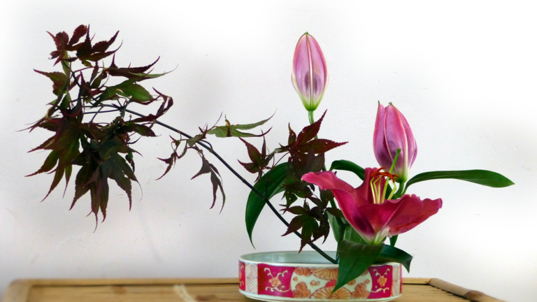 Workshop Ikebana in Hortus Alkmaar ?