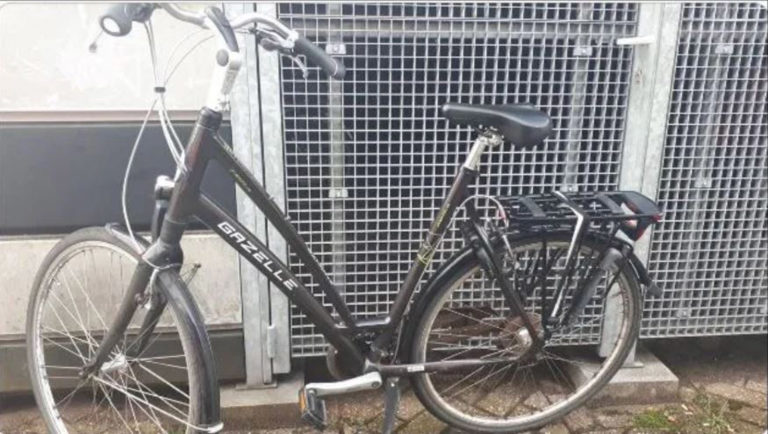 Waardse politie vangt fietsdief dankzij alerte getuige