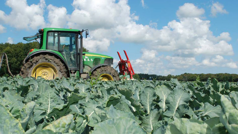 Koolcampagne weer van start: klei op de wegen